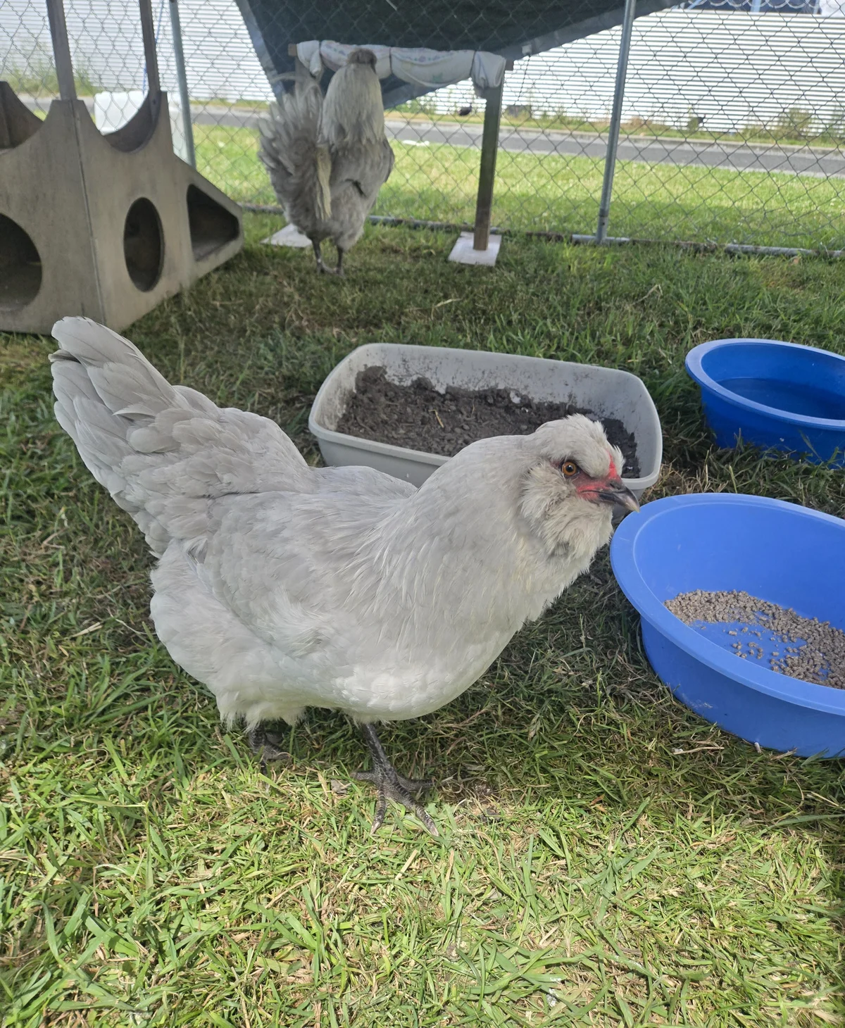 Gallery image: Martha