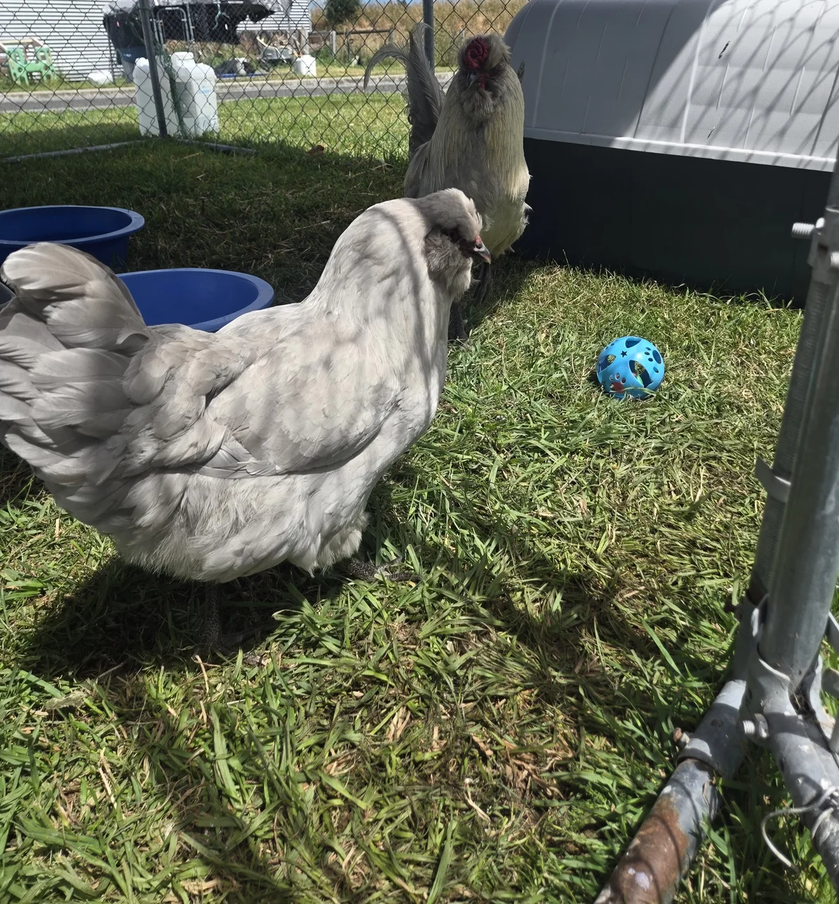 Gallery image: Martha