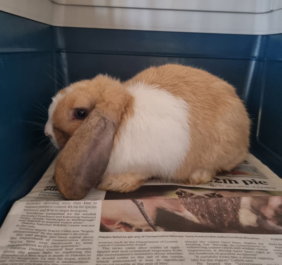 Gallery image: Miles