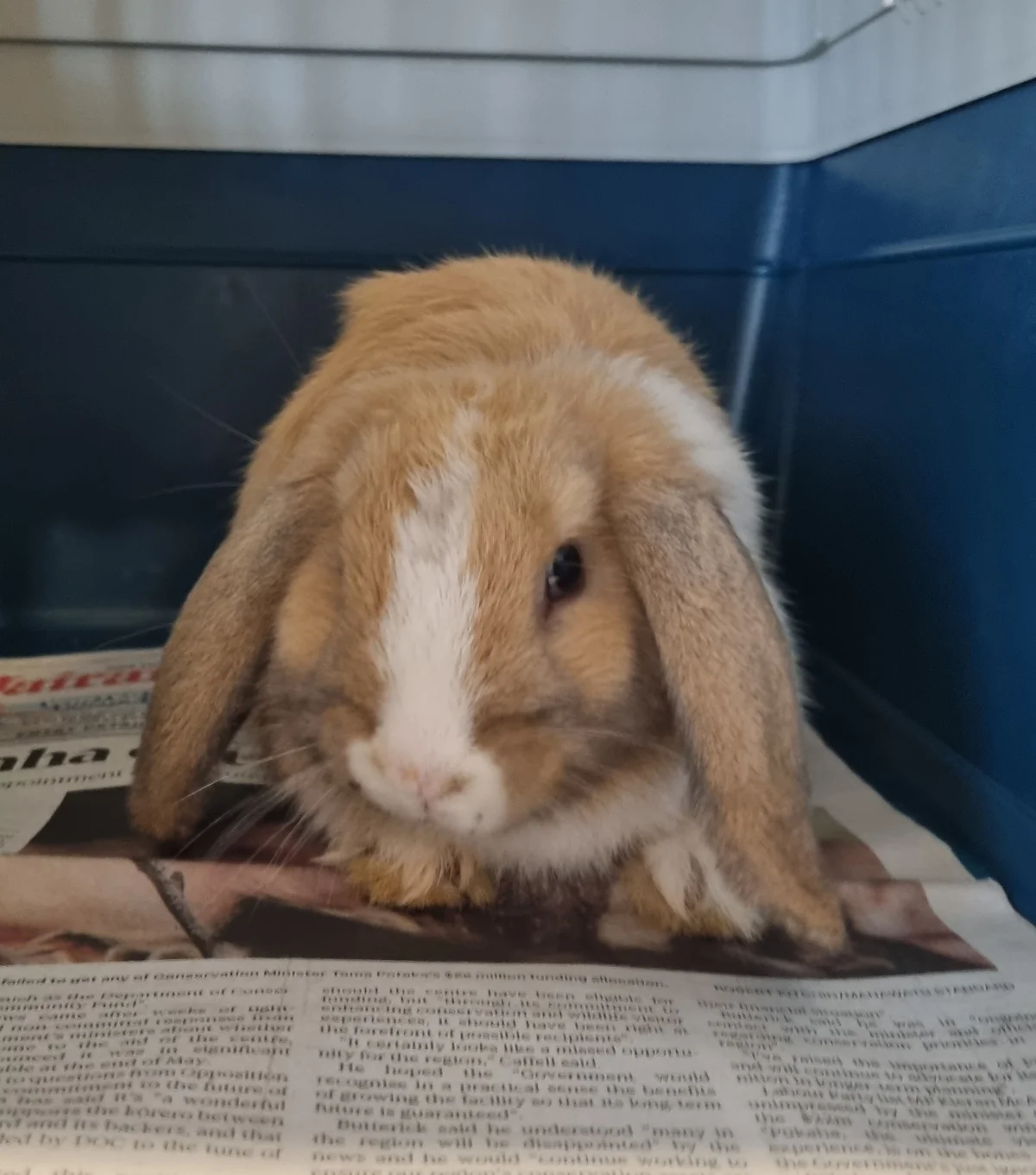 Gallery image: Miles