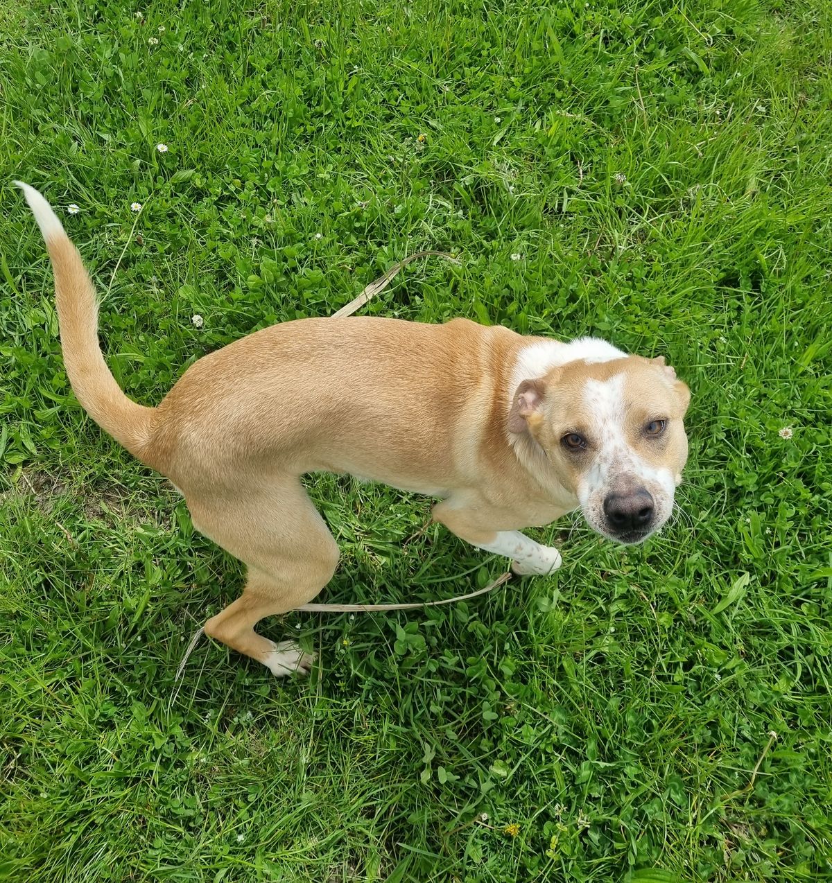 Gallery image: Sprout