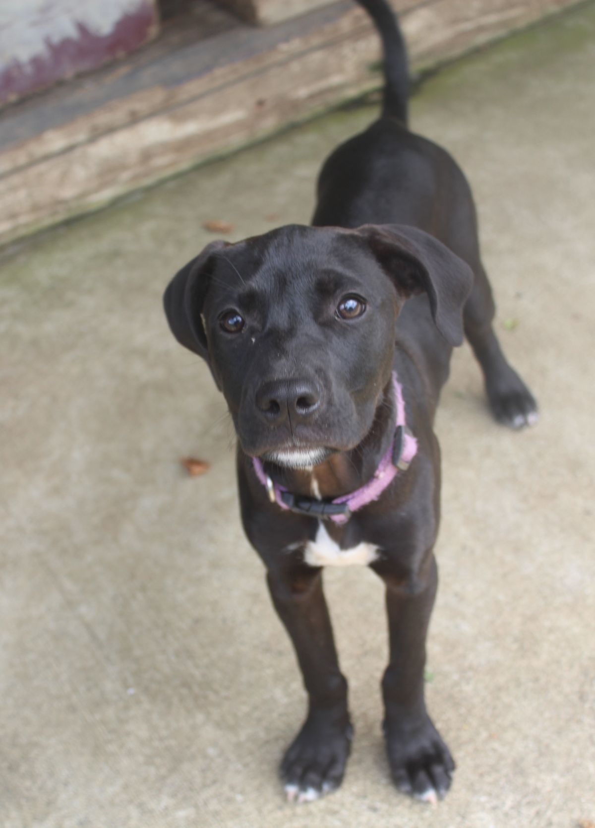 Gallery image: Alice