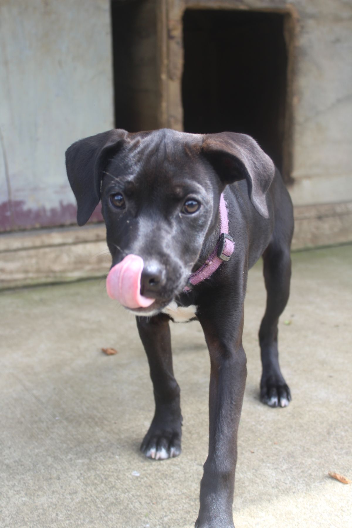 Gallery image: Alice