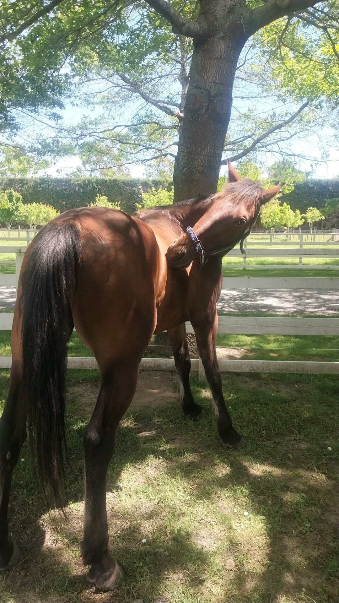 Gallery image: Cheese