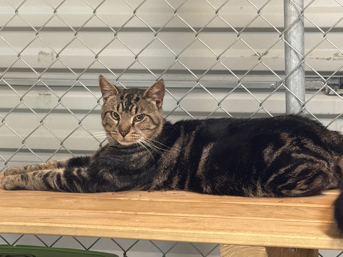 Gallery image: Turbo