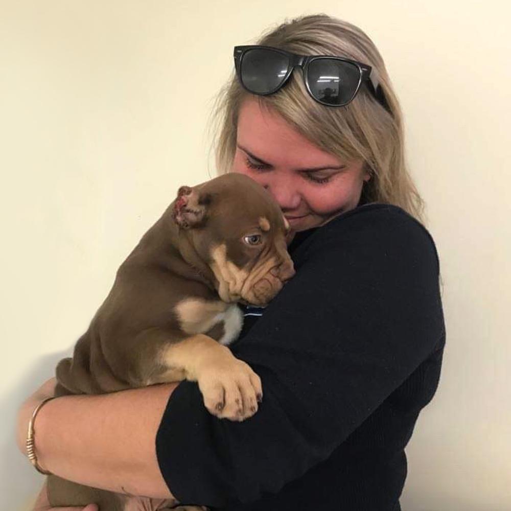 Essay on animal cry for help 08 picture