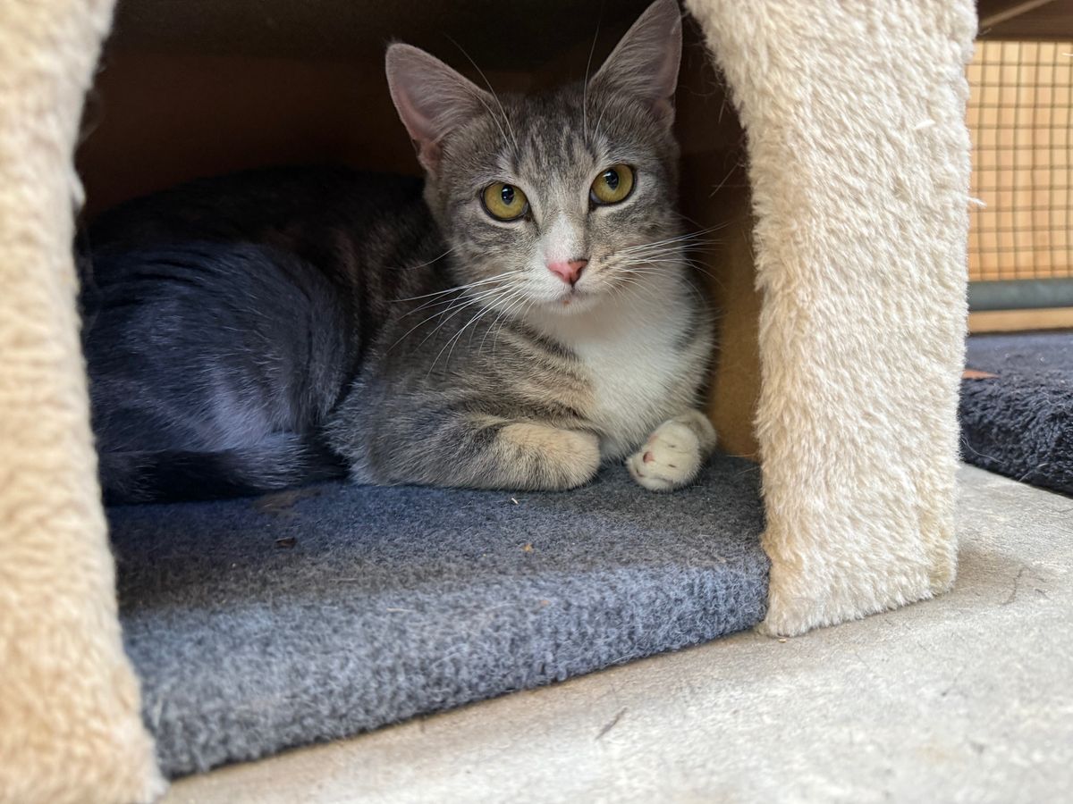 Gallery image: Storm