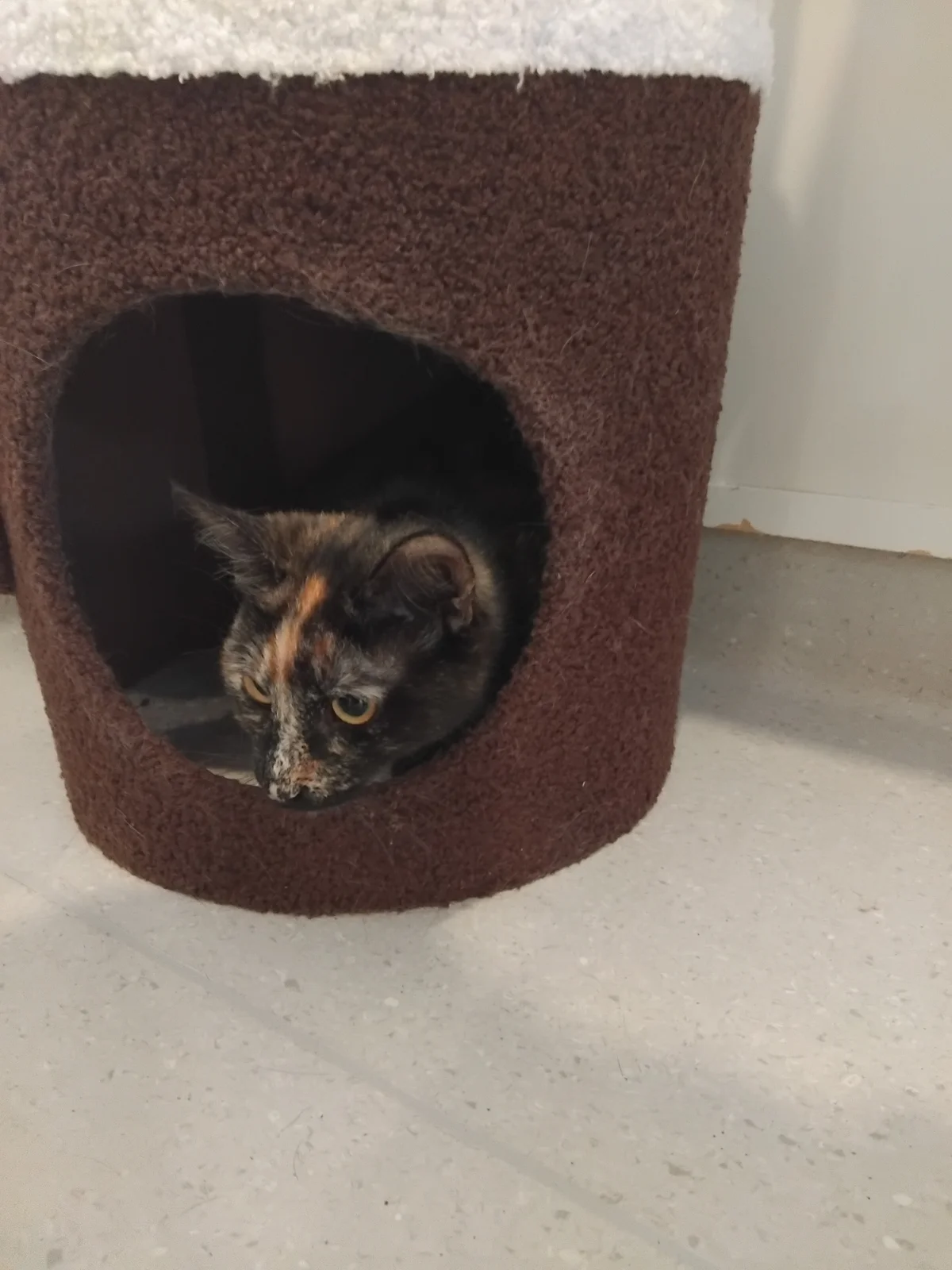 Gallery image: Abigail