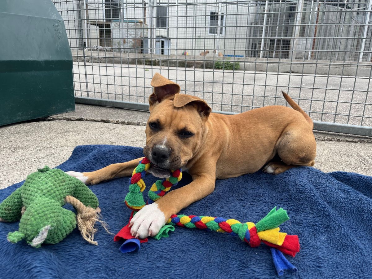 Gallery image: Jelly