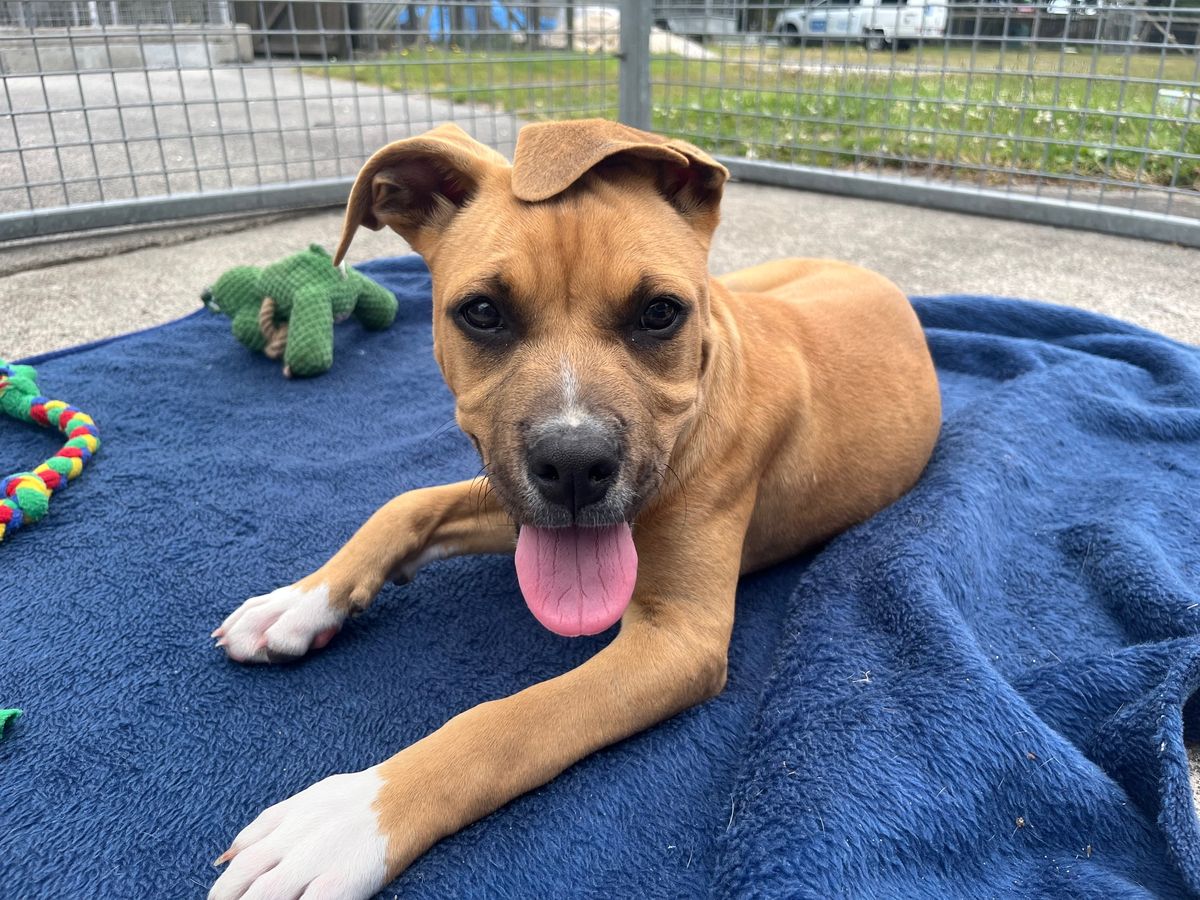 Gallery image: Jelly