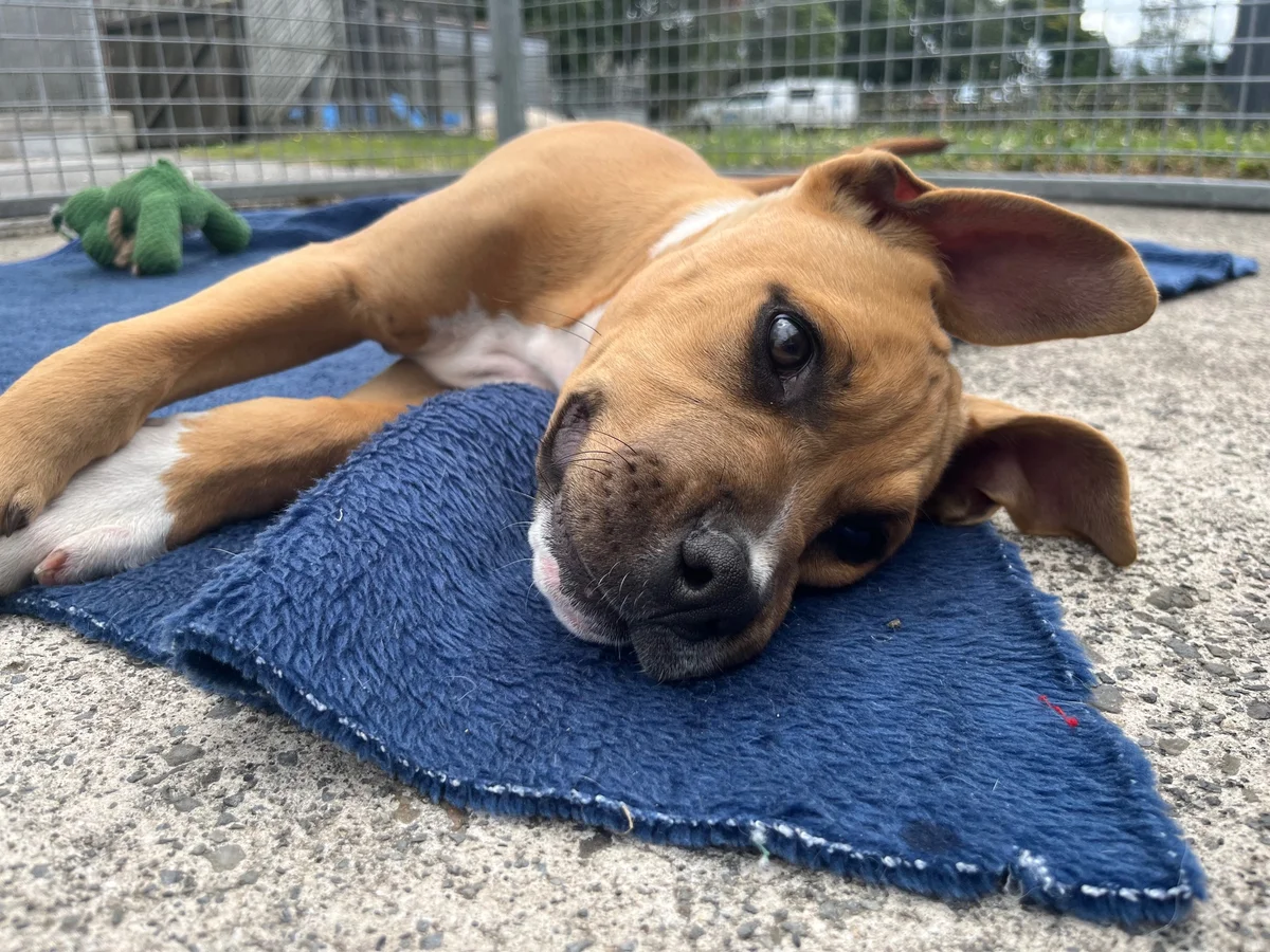 Gallery image: Jelly