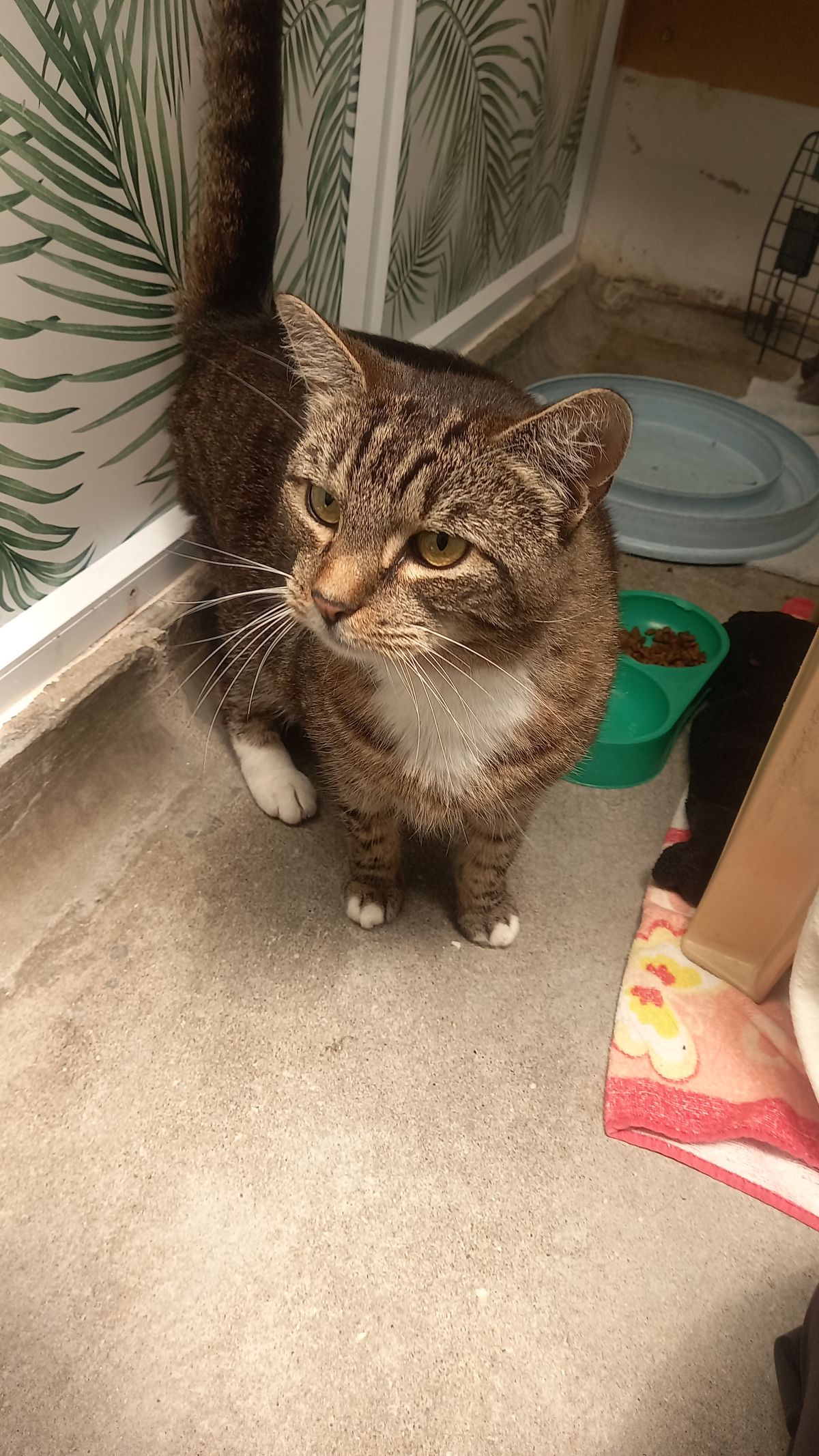 Gallery image: Annie