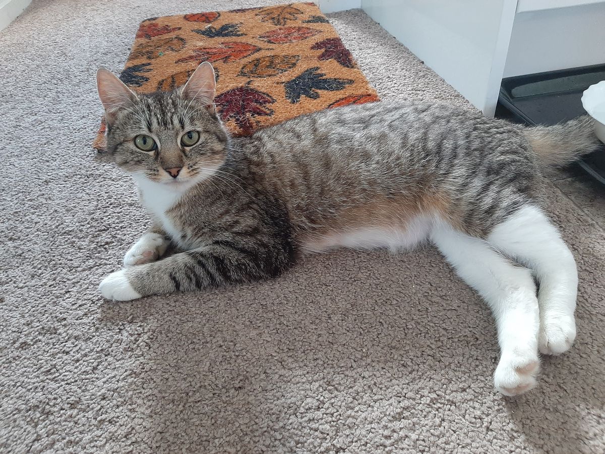 Gallery image: Aquarius