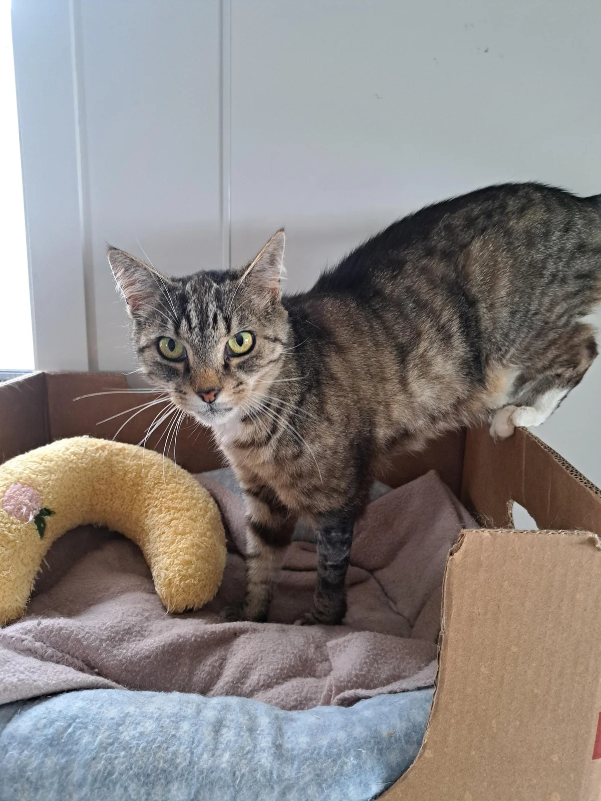 Gallery image: Jackson