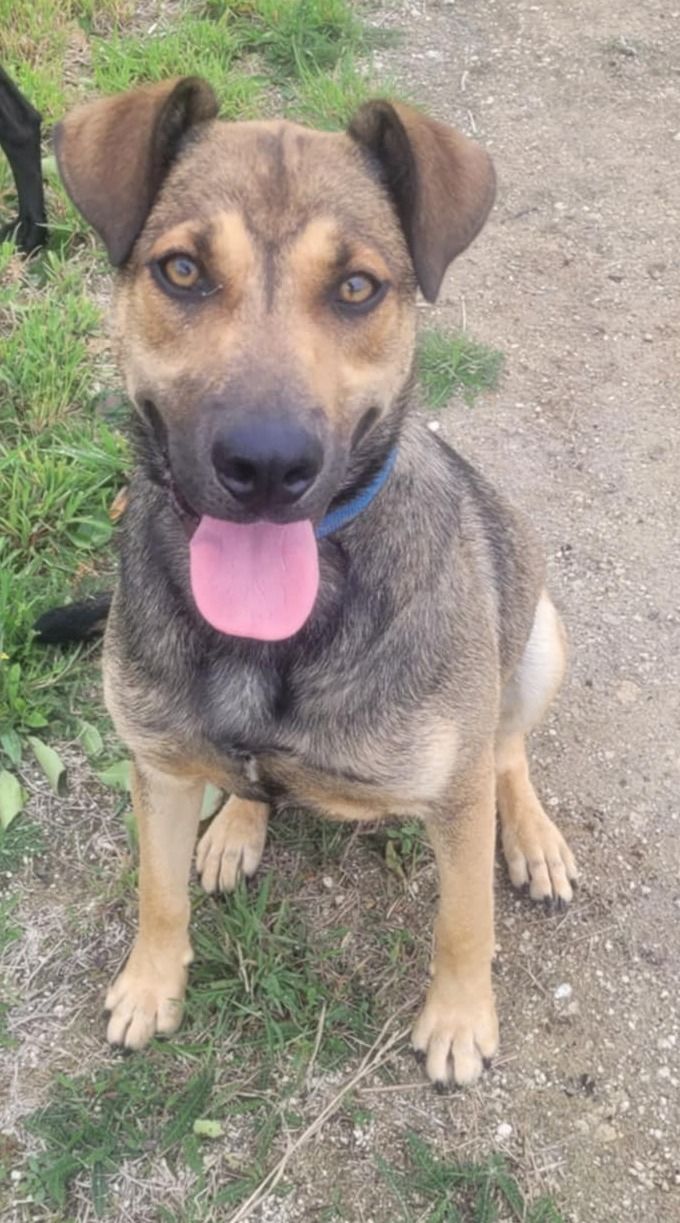 Gallery image: Hunter