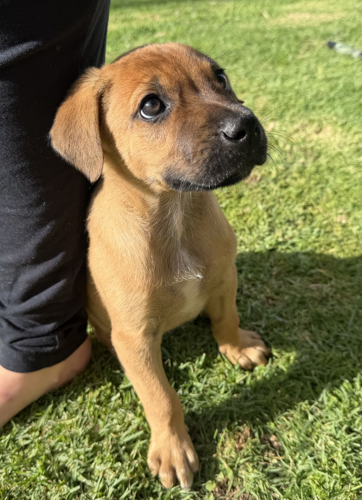 Gallery image: Jasper