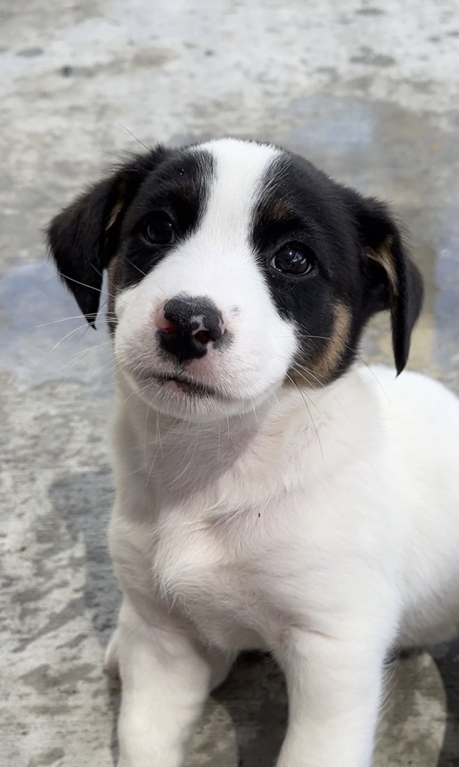 Gallery image: Comet