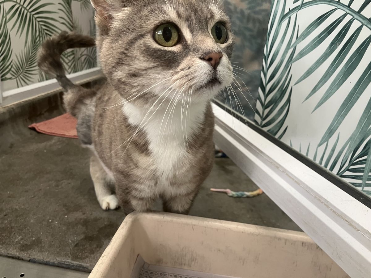 Gallery image: Prudence 