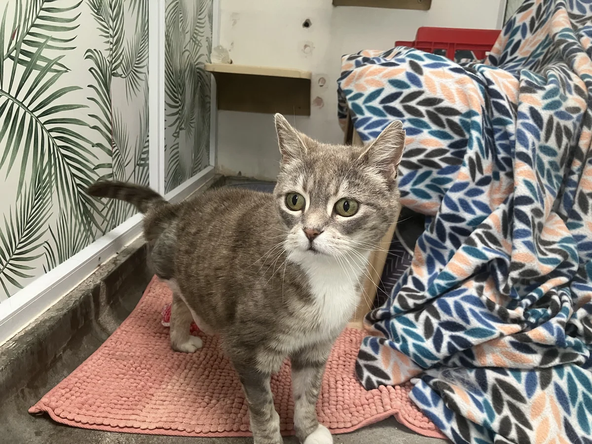 Gallery image: Prudence 