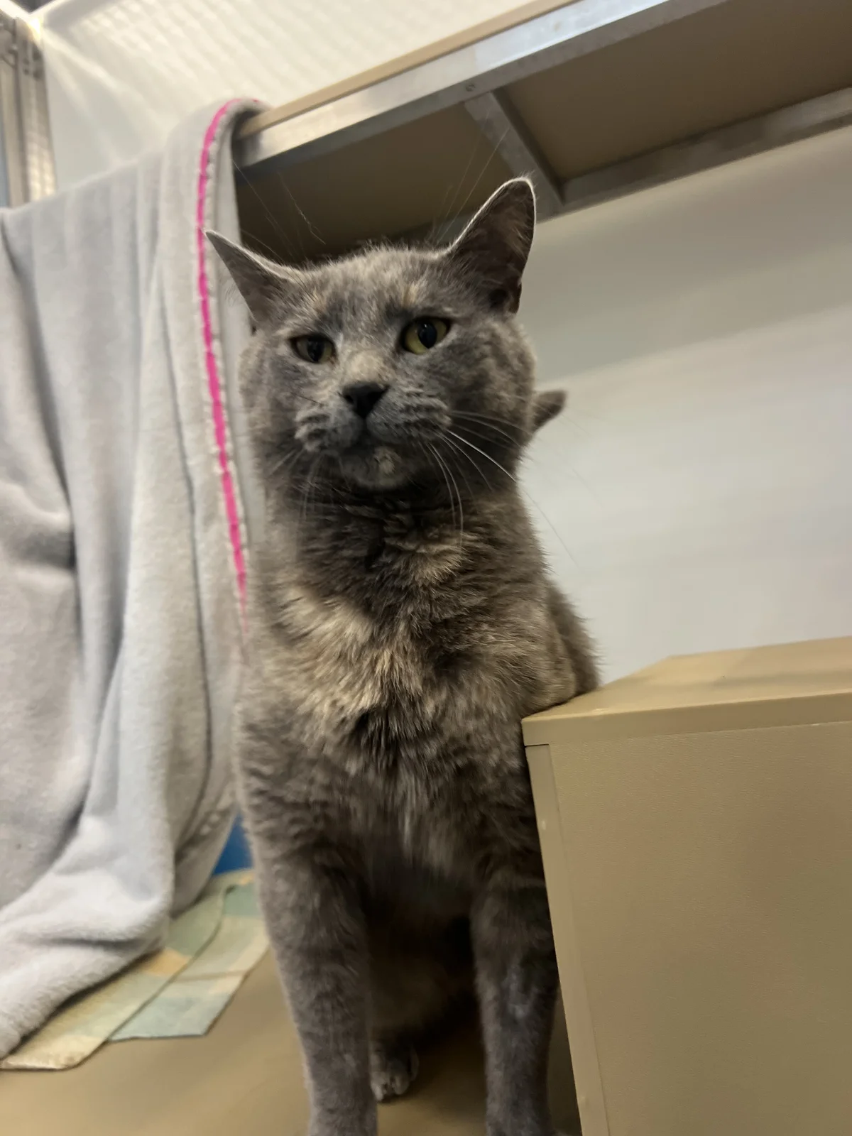 Gallery image: Tilly