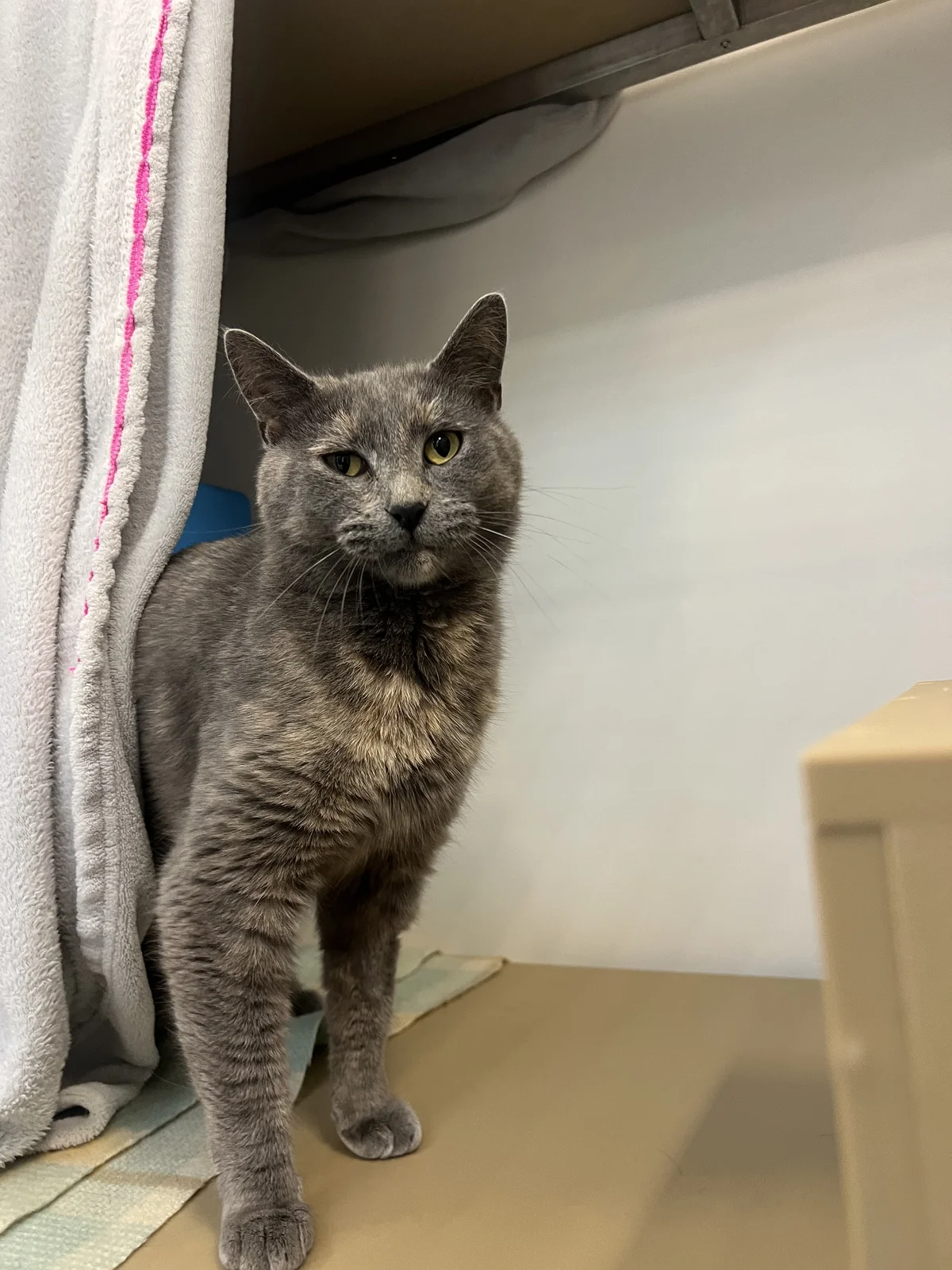 Gallery image: Tilly