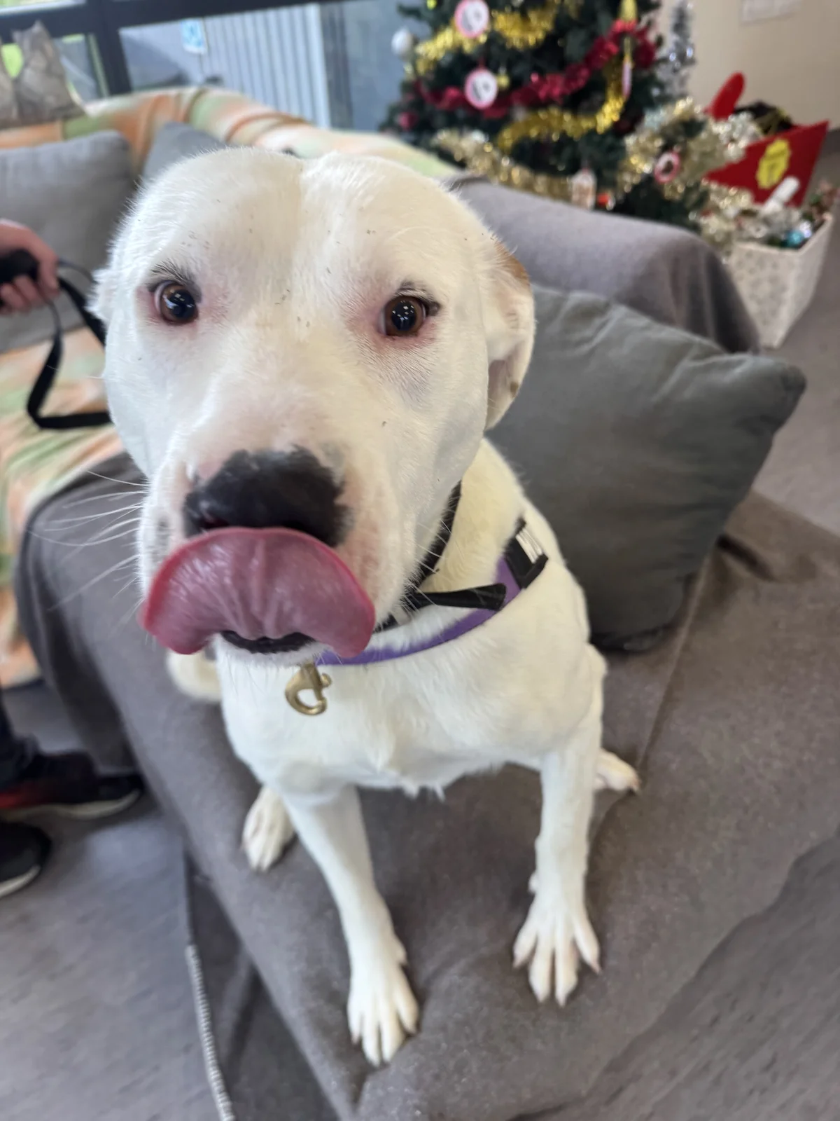 Gallery image: Juice