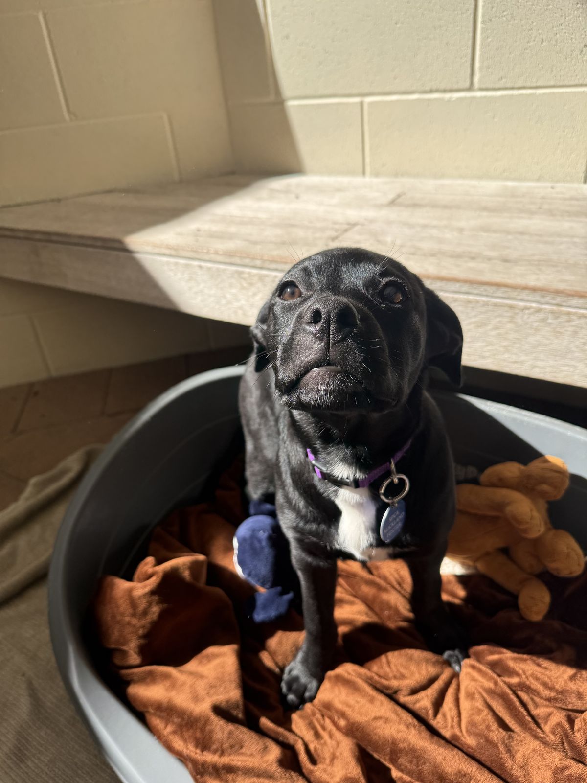 Gallery image: Charlotte