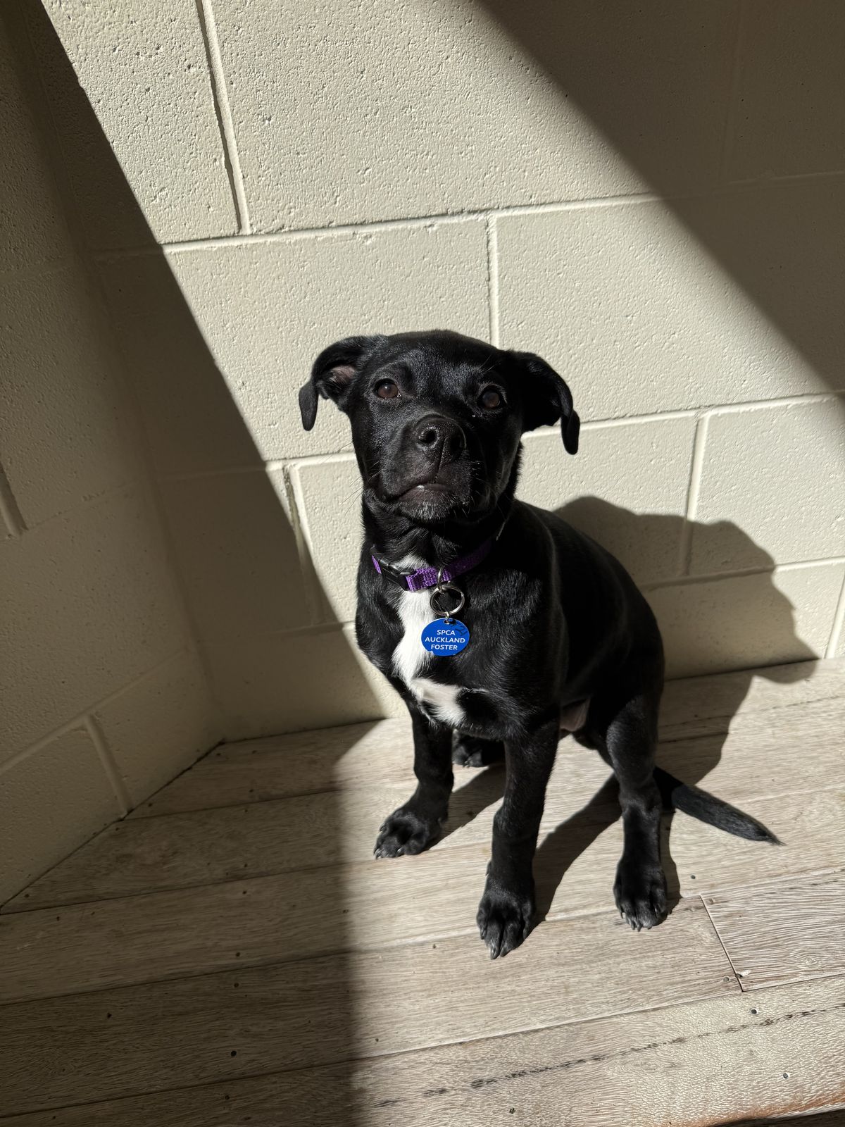 Gallery image: Charlotte