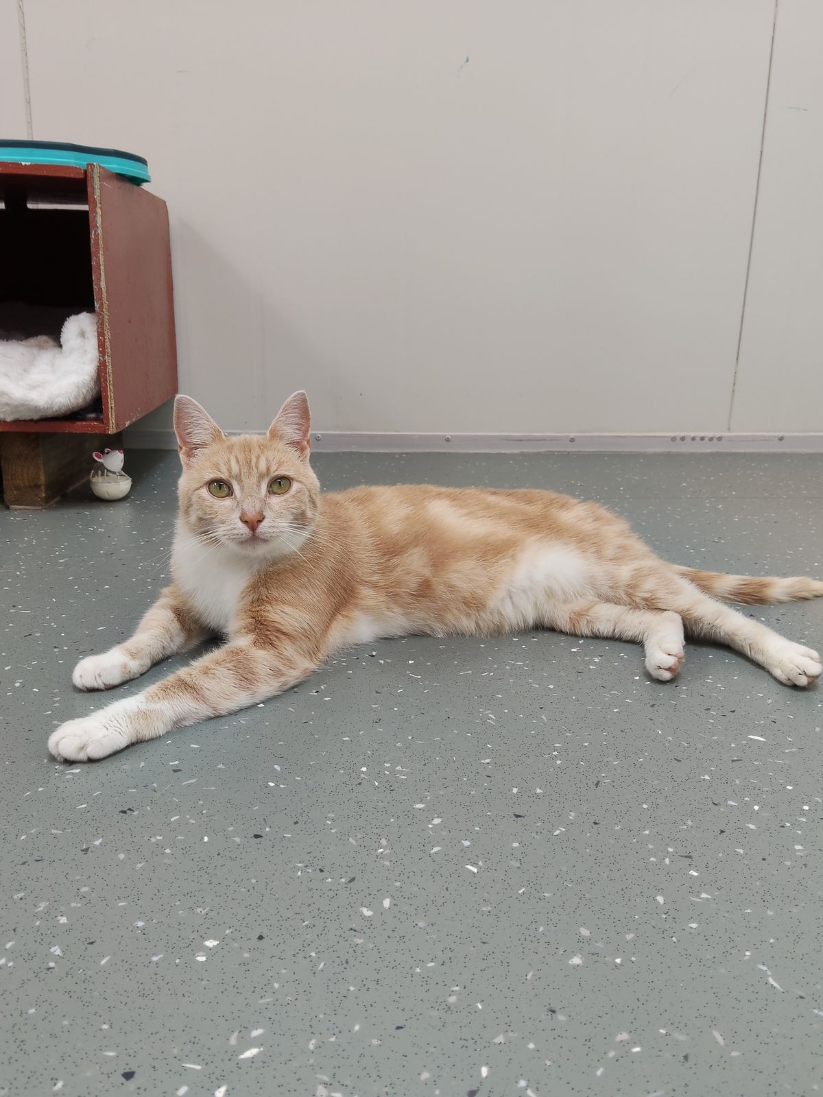 Gallery image: Butters