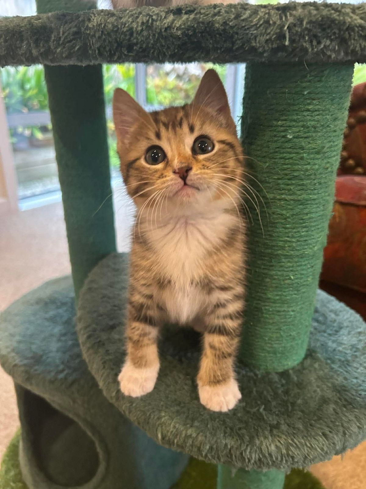 Gallery image: Belle