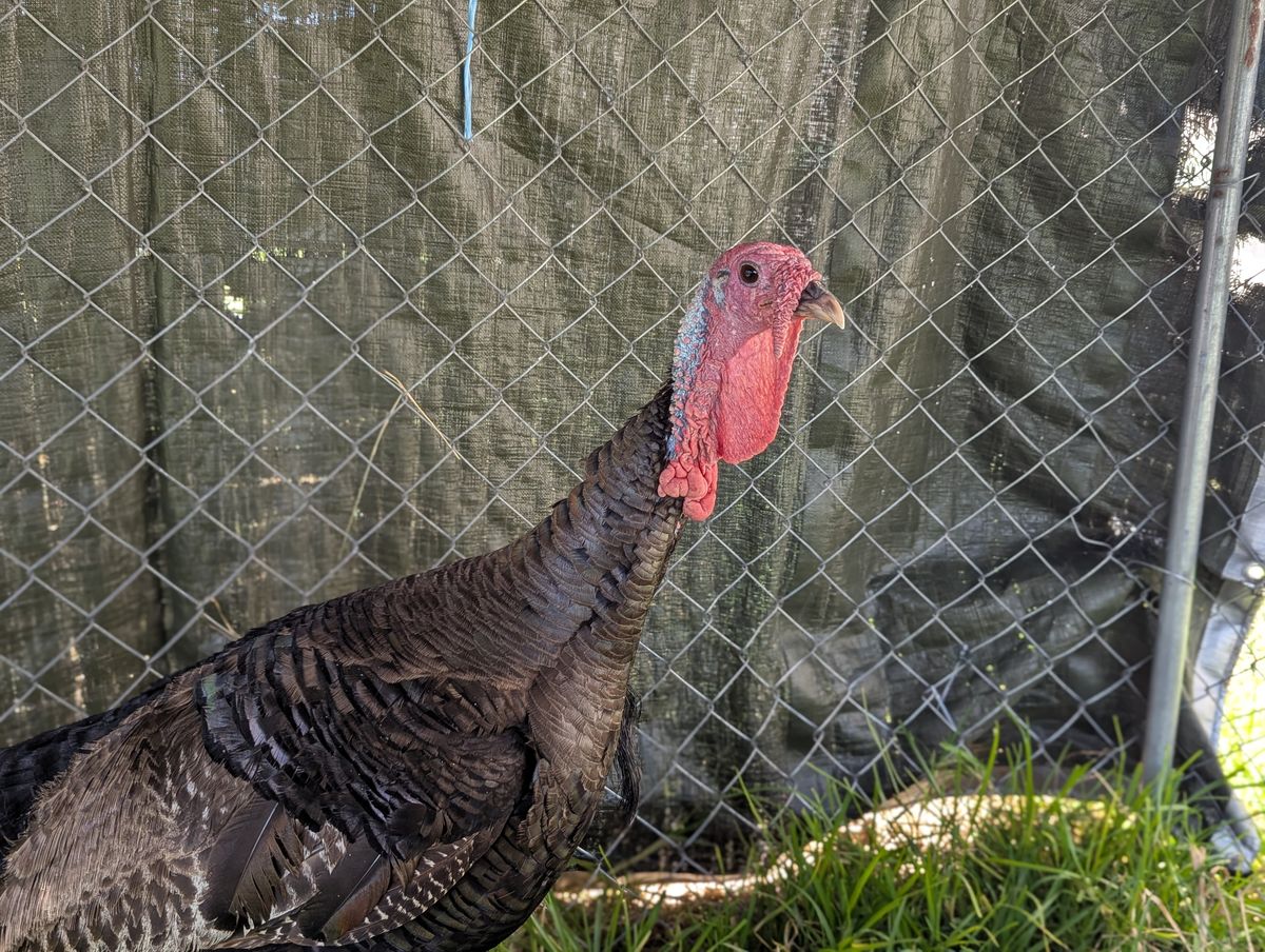 Gallery image: Celine