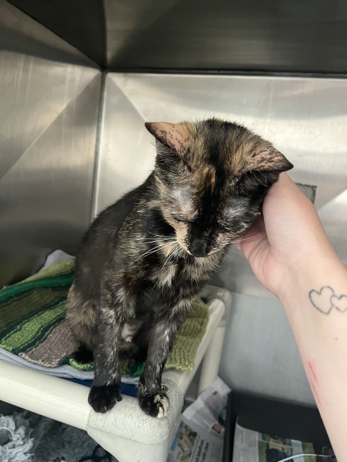 Gallery image: Honey