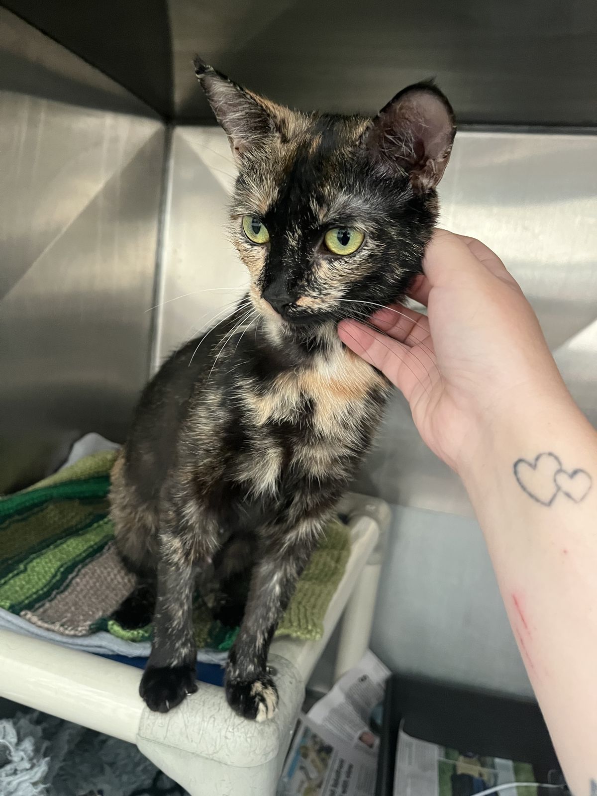 Gallery image: Honey