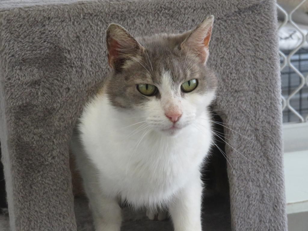 Gallery image: Margo