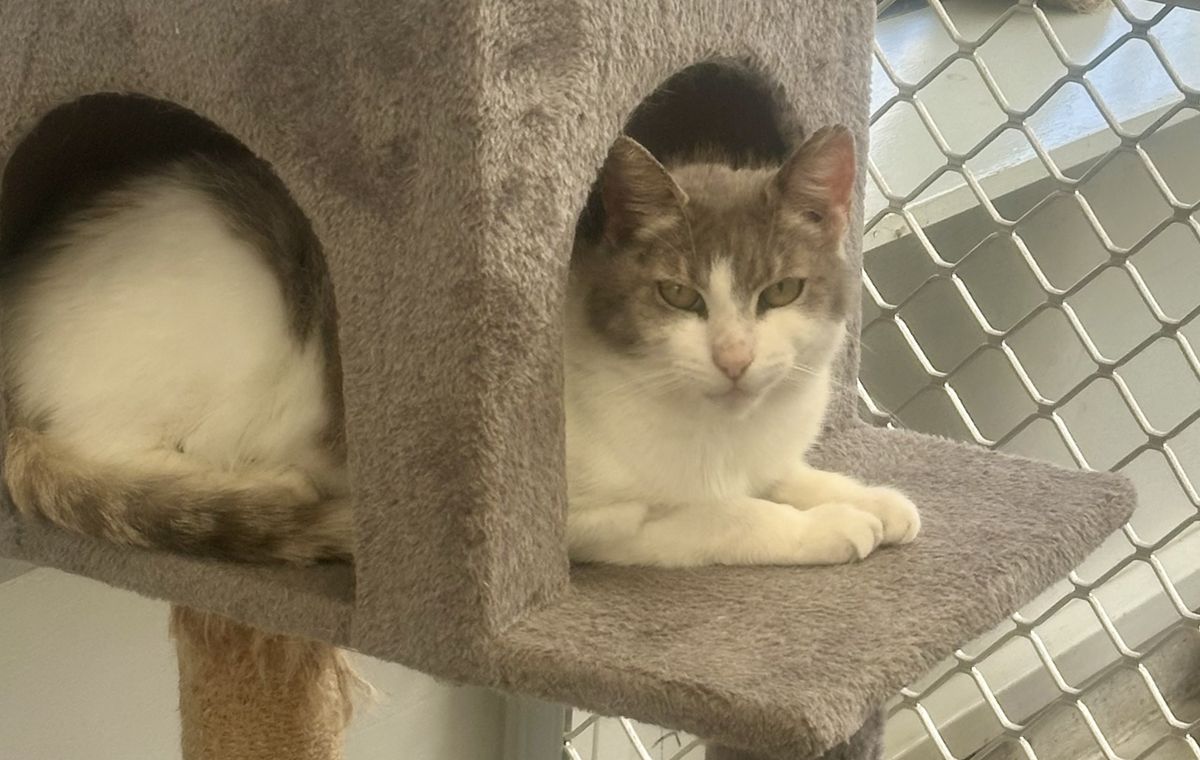 Gallery image: Margo