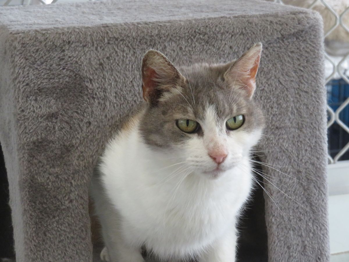 Gallery image: Margo