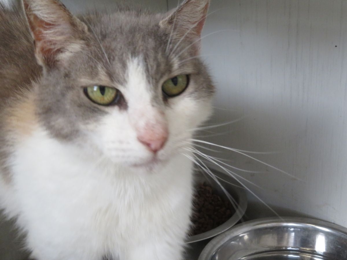 Gallery image: Margo