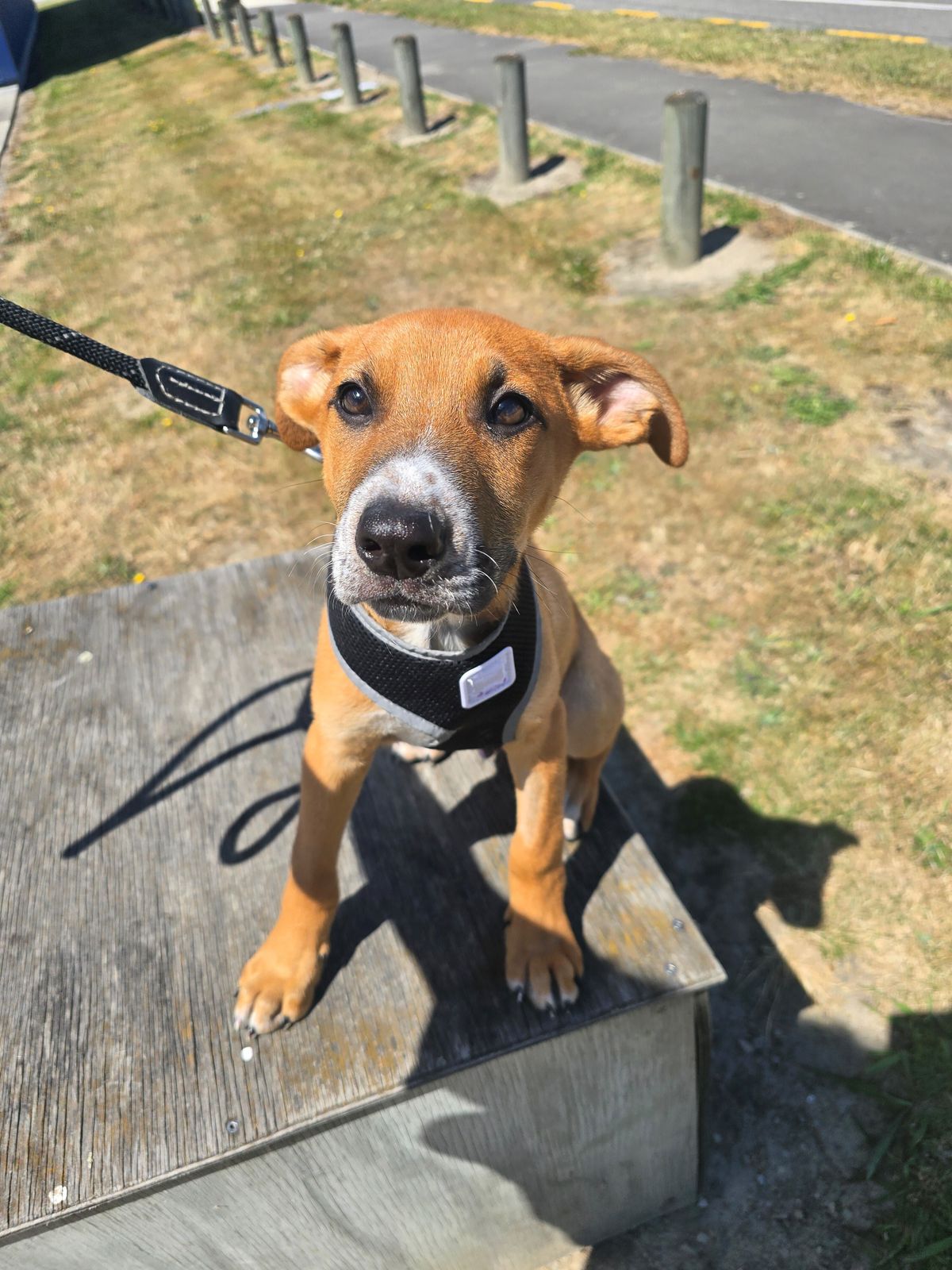 Gallery image: River