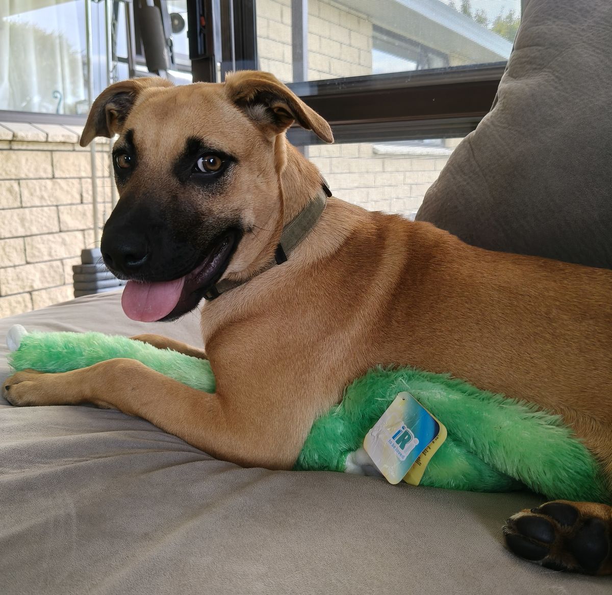 Gallery image: Wilma