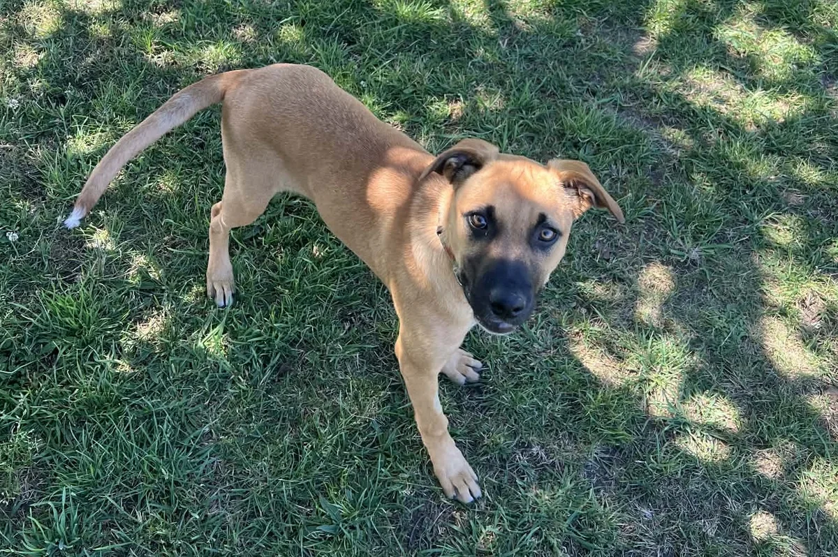 Gallery image: Wilma