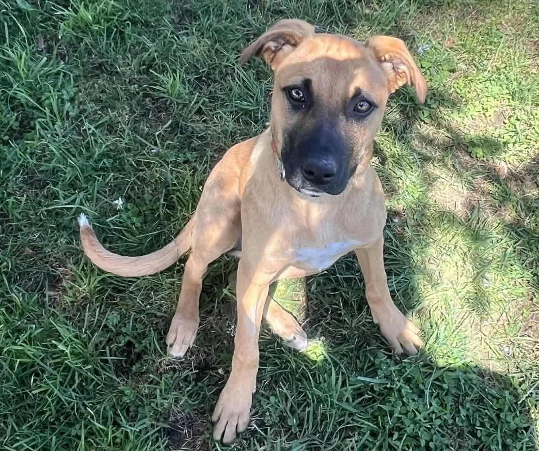 Gallery image: Wilma