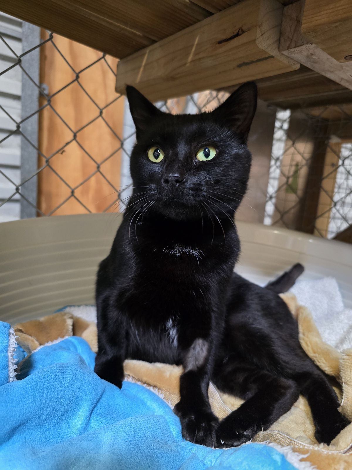 Gallery image: Malik