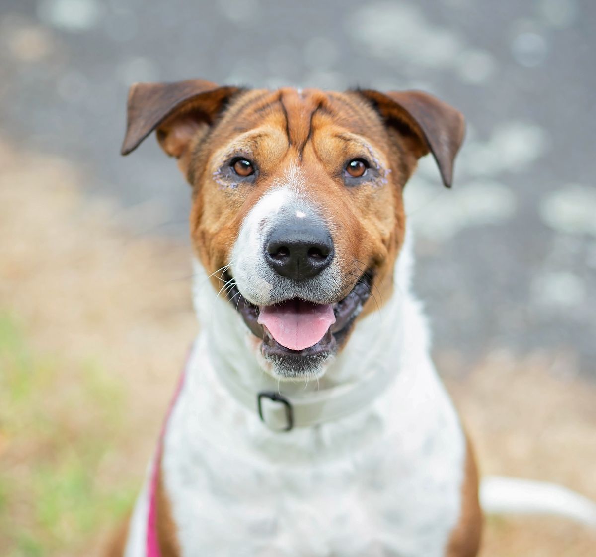 Gallery image: Flower 