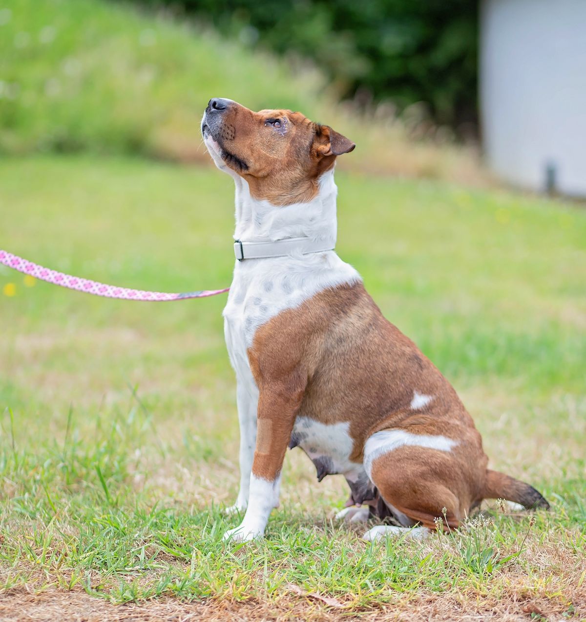 Gallery image: Flower 