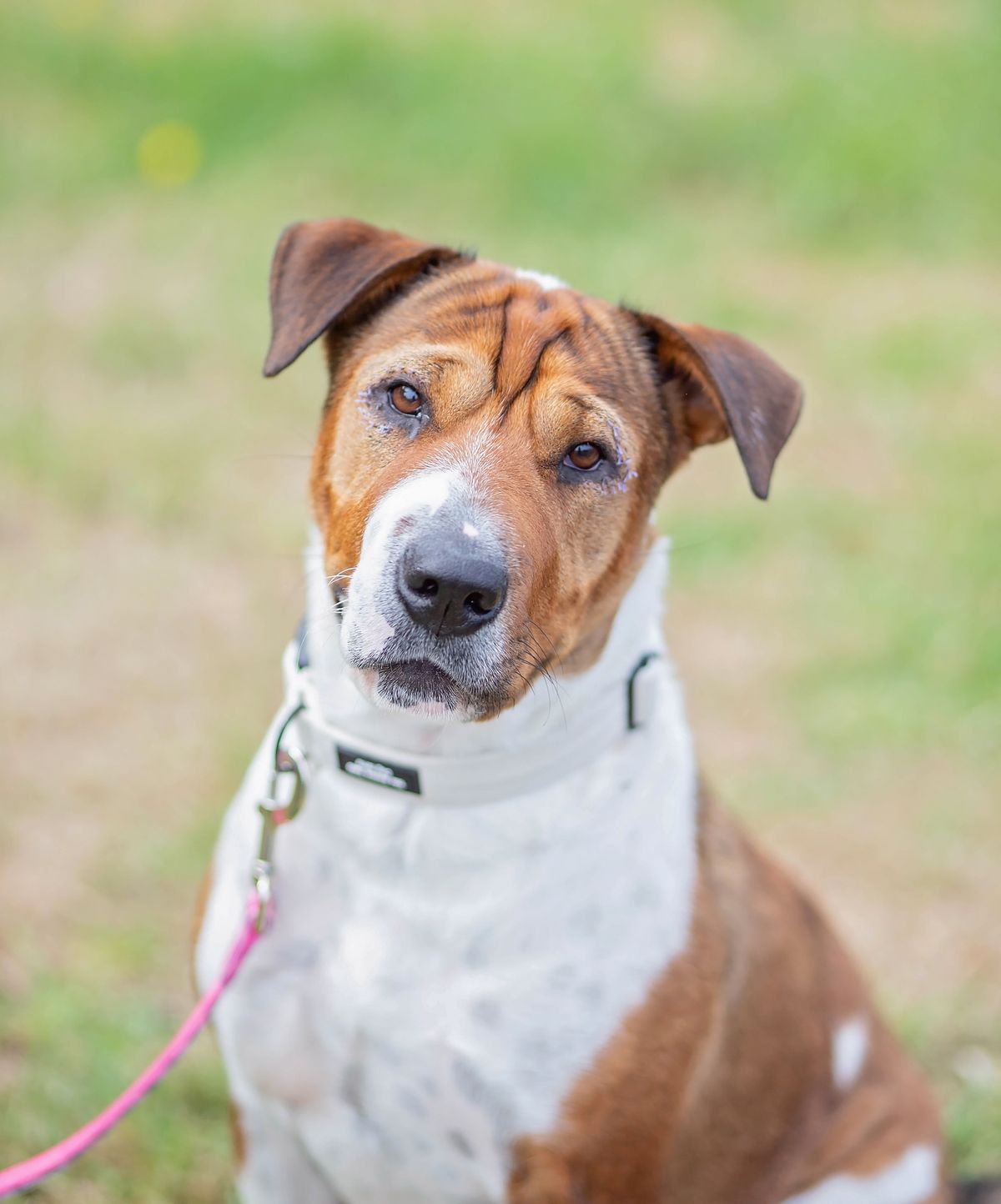 Gallery image: Flower 