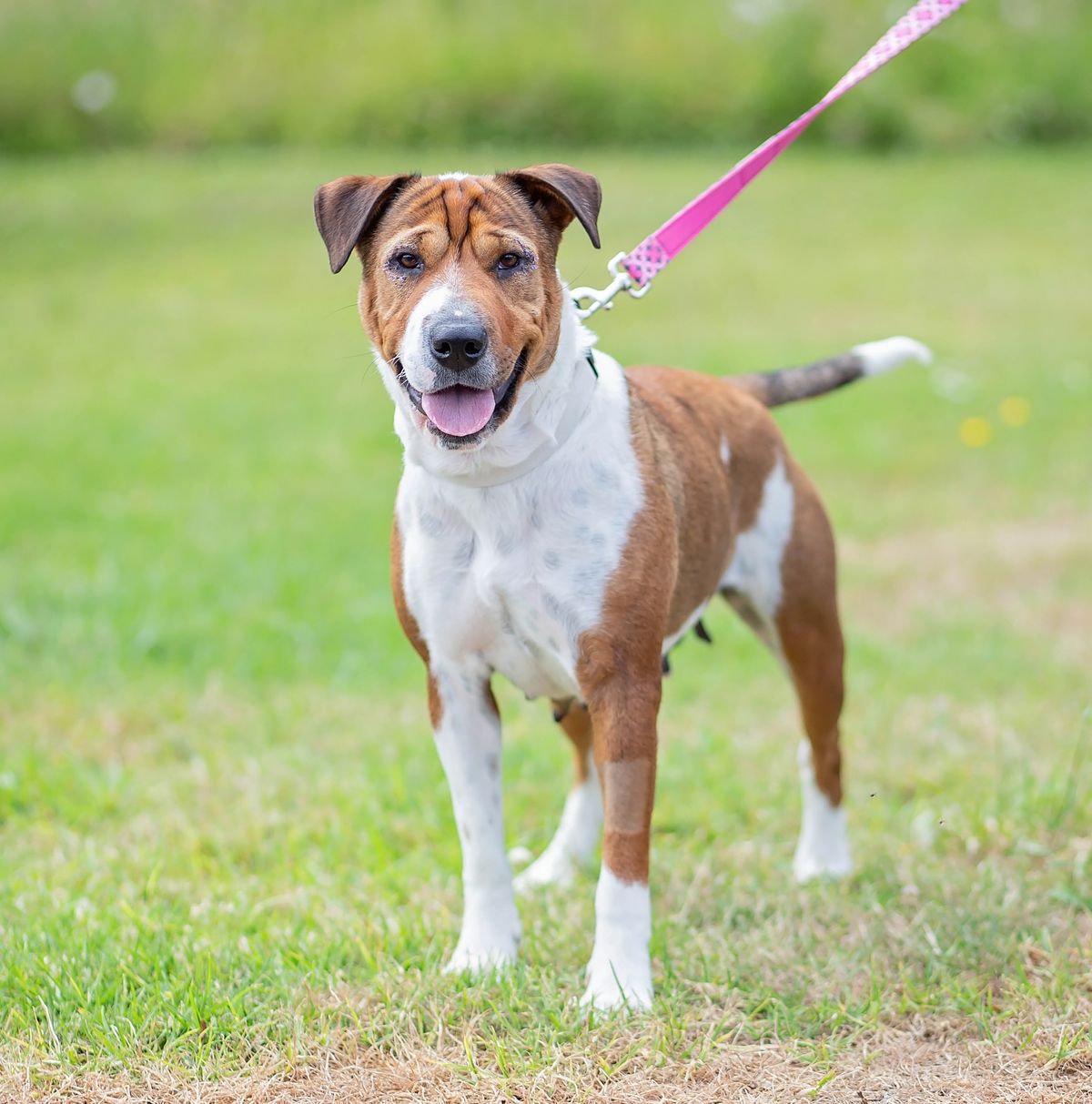 Gallery image: Flower 