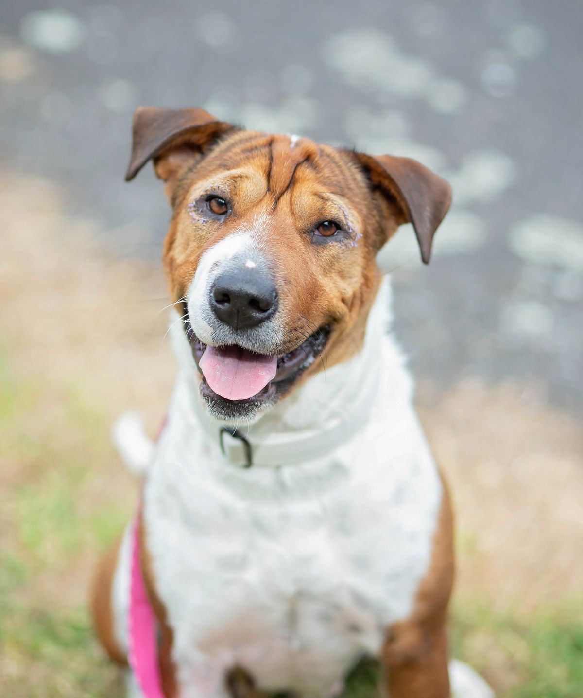 Gallery image: Flower 