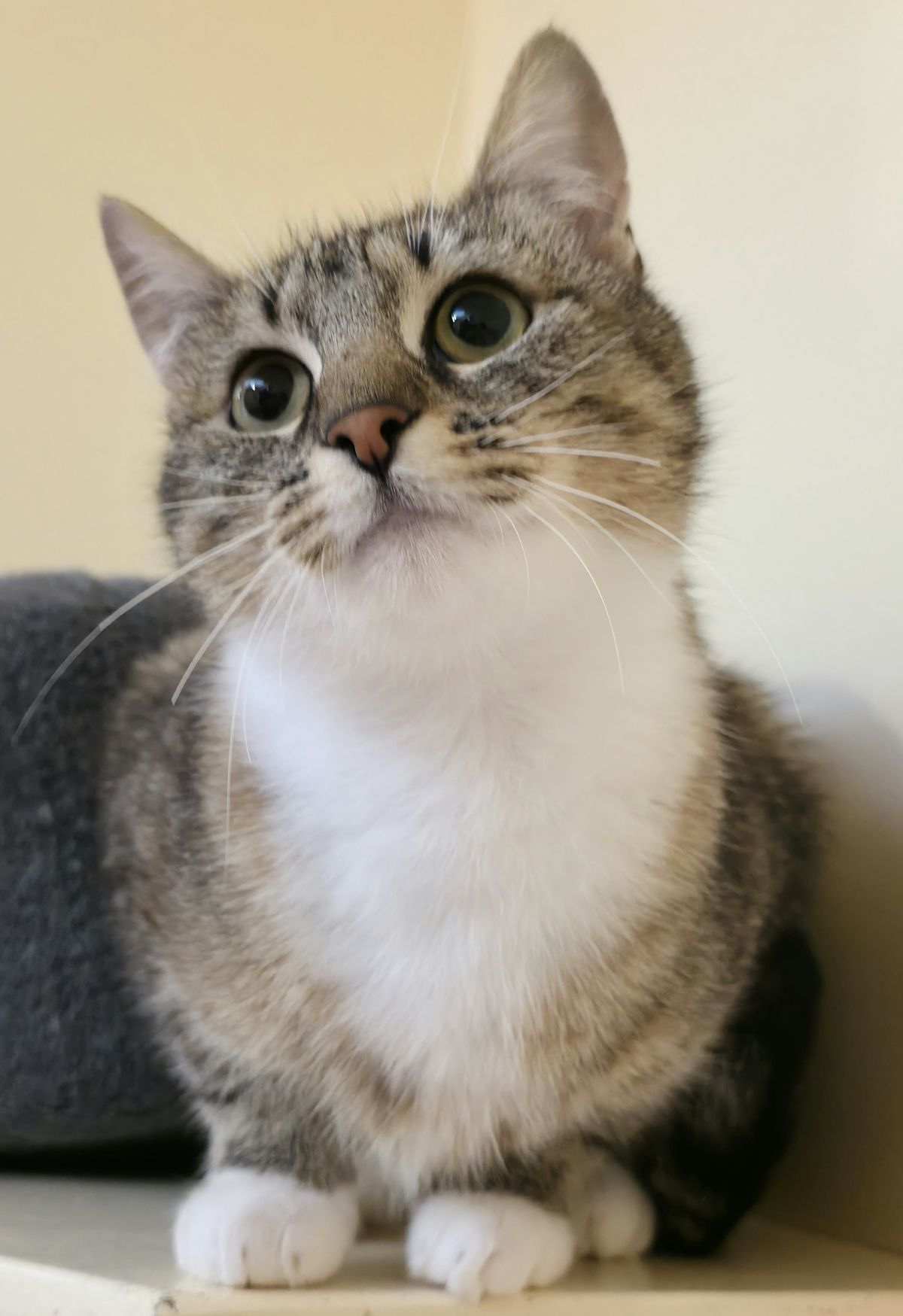 Gallery image: Aquarius