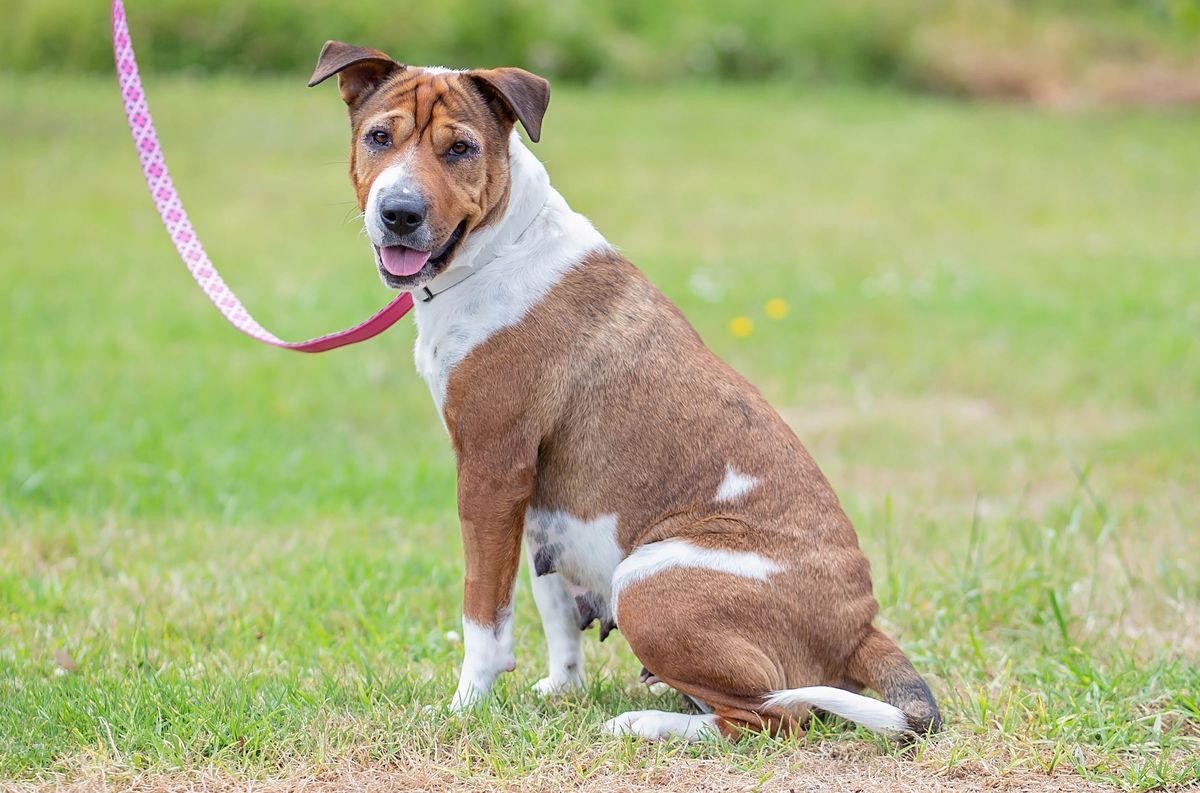 Gallery image: Flower 