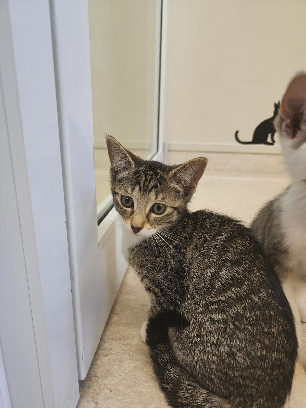 Gallery image: Flower